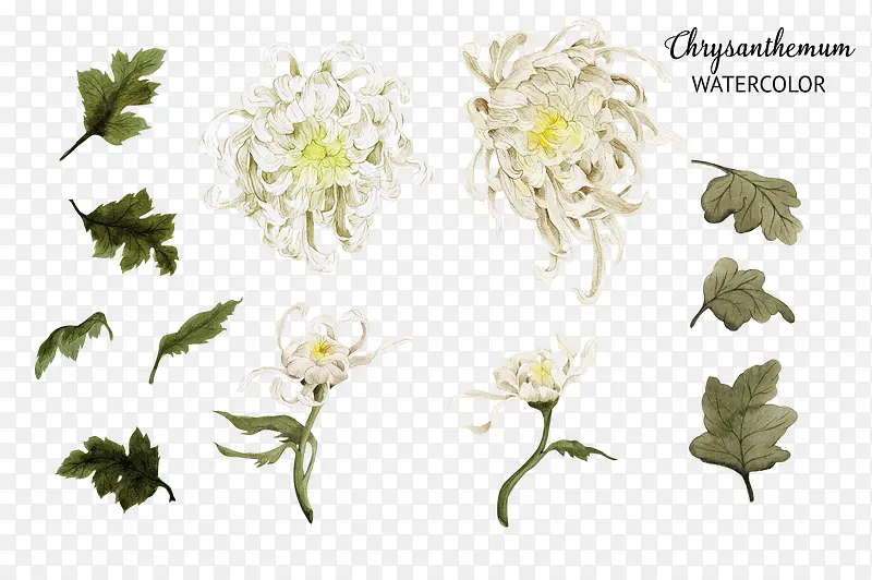 �ֻ�ջ�����-������