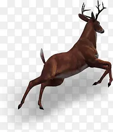 ʥ������¹-������