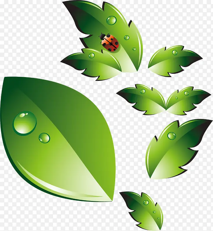 ��Ҷpngʸ���ز�-������