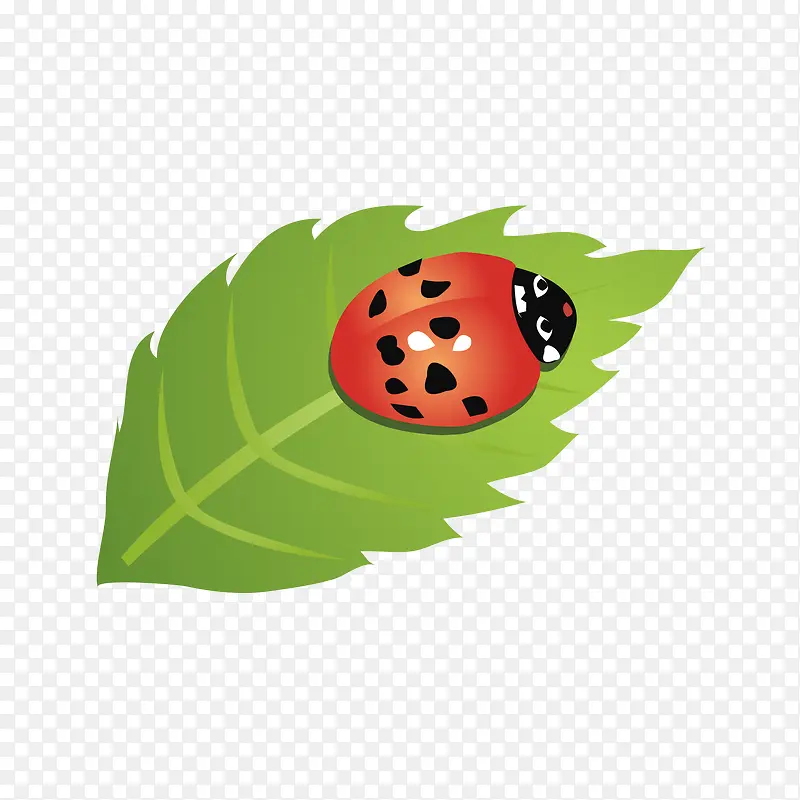 ��Ҷ������ư��-������