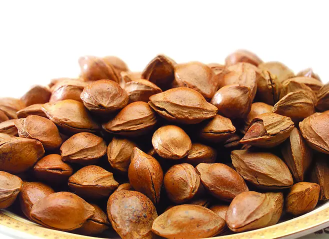 �ſű��������ʸ�����Ӱ-������