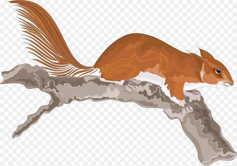 ��֦�ϵ�ʸ������-������