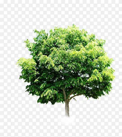 Ψ�����»�����-������