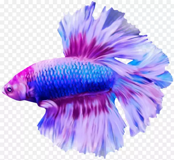 ������������-������-������