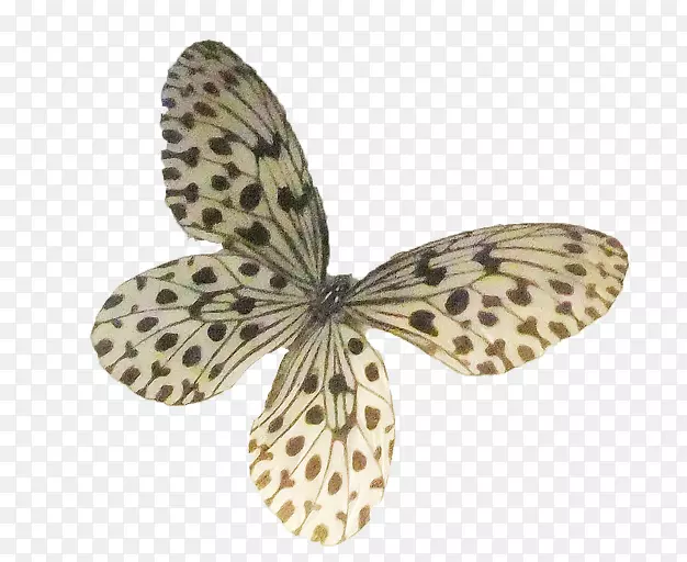 ��������괫�����޼�׵����ˮ�ʵ�-������