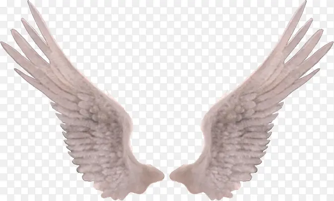 һ�԰�ɫ��ʹ���-������