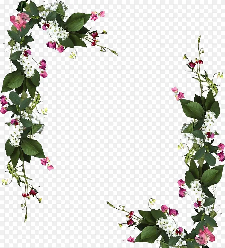 ǰ�Ա߿�-������