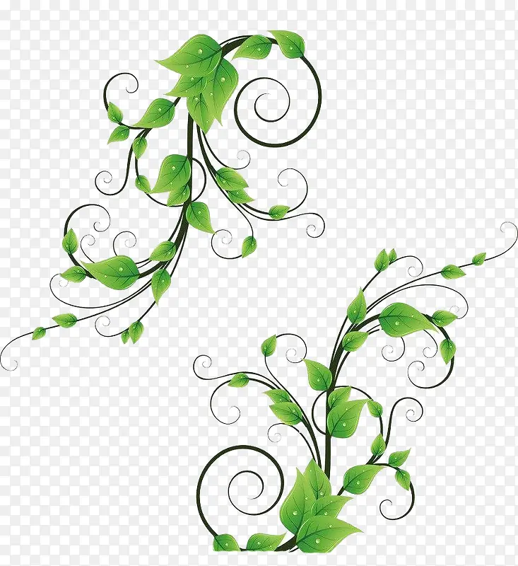 ǰ�Ա߿�-������