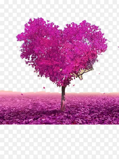 ������-������