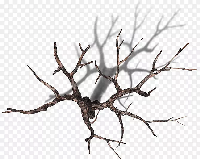 ��֦��ֲ������-����-������