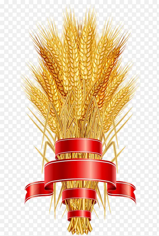 ʸ������廭�ز�-������