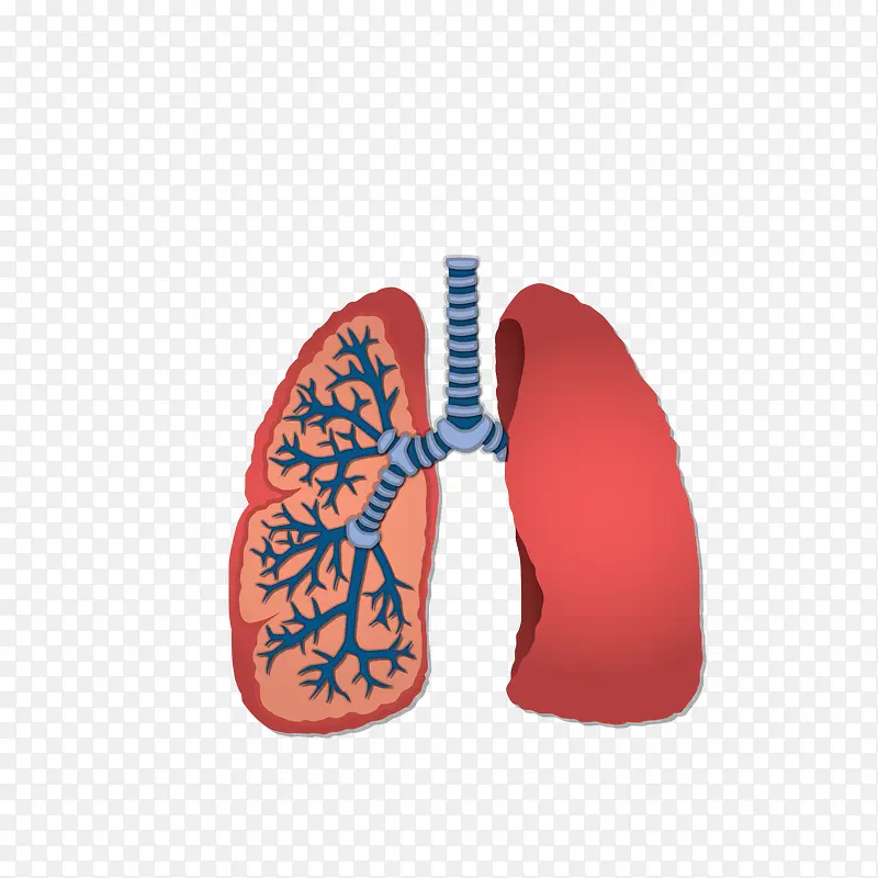 ��ͨ�ֻ�β�-������