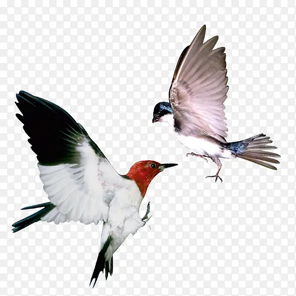 չ��߷�-������