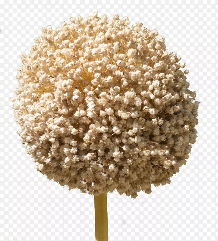 �����ʼ����ͼ�����-���-������