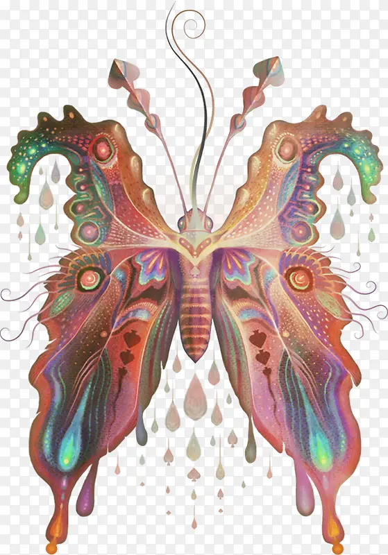 �廭 ���� װ��-������