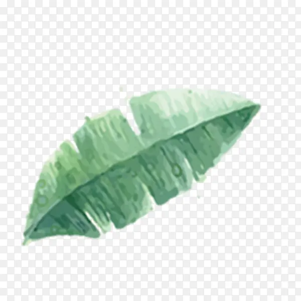 һƬ��Ҷ-������