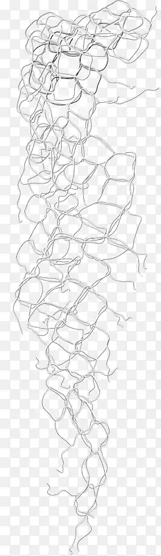 Ư����������-������