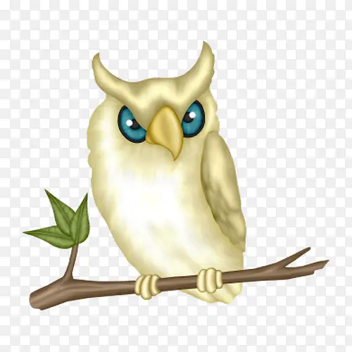 ��֦�ϵ�èͷӥ-������