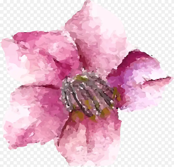 ˮ��ӣ���ز�-������