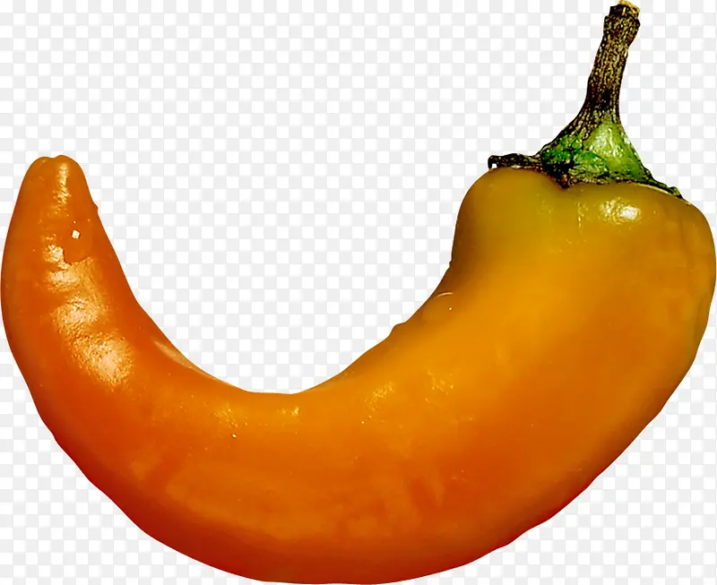 ��ɫ����-������