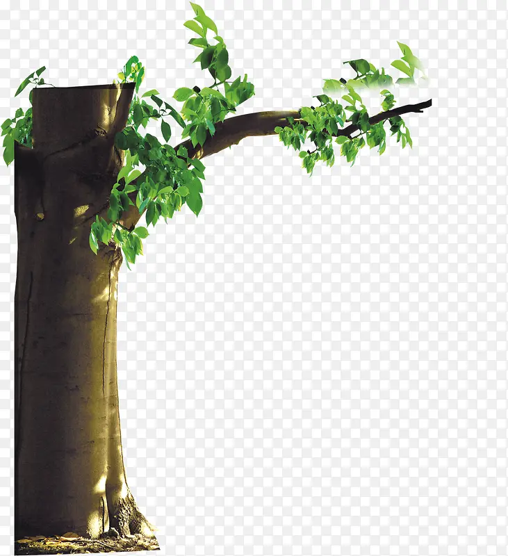 ��-������