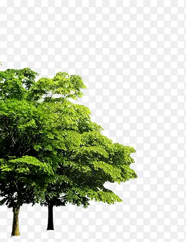 ��-������