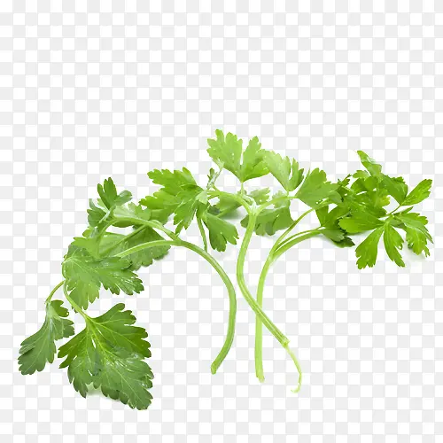 �߲˼�ͼ-������