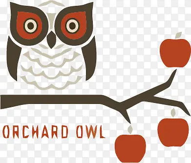 �ֻ�èͷӥ-������