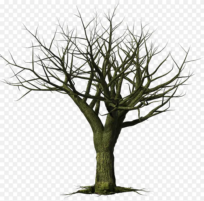 �ɿݵ���ɫ����-������