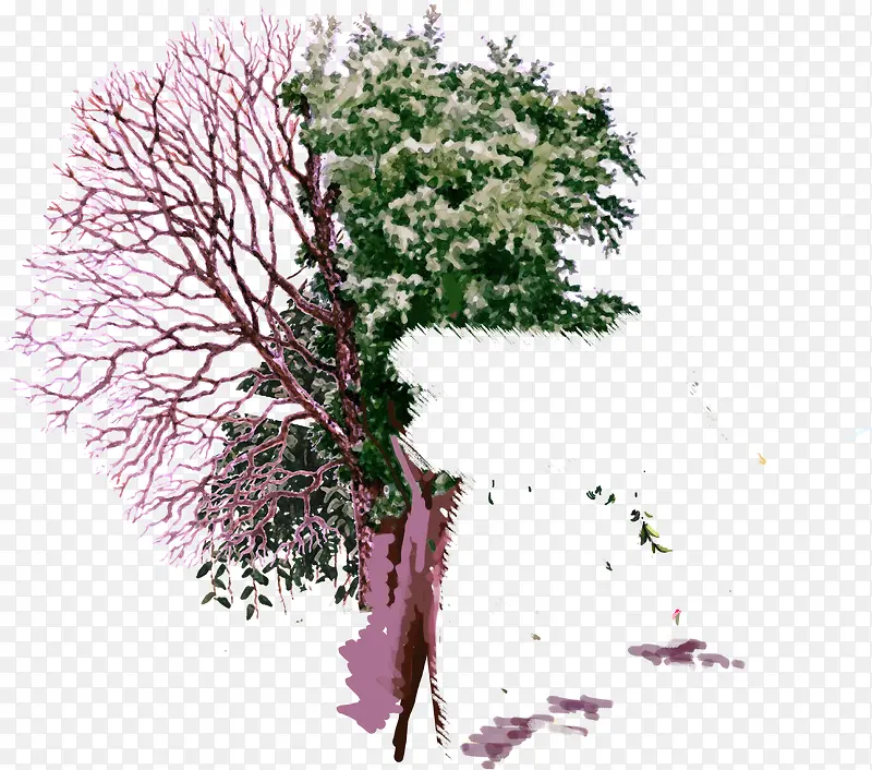 �ֲ㴴���ֻ���֦�Ա�-������