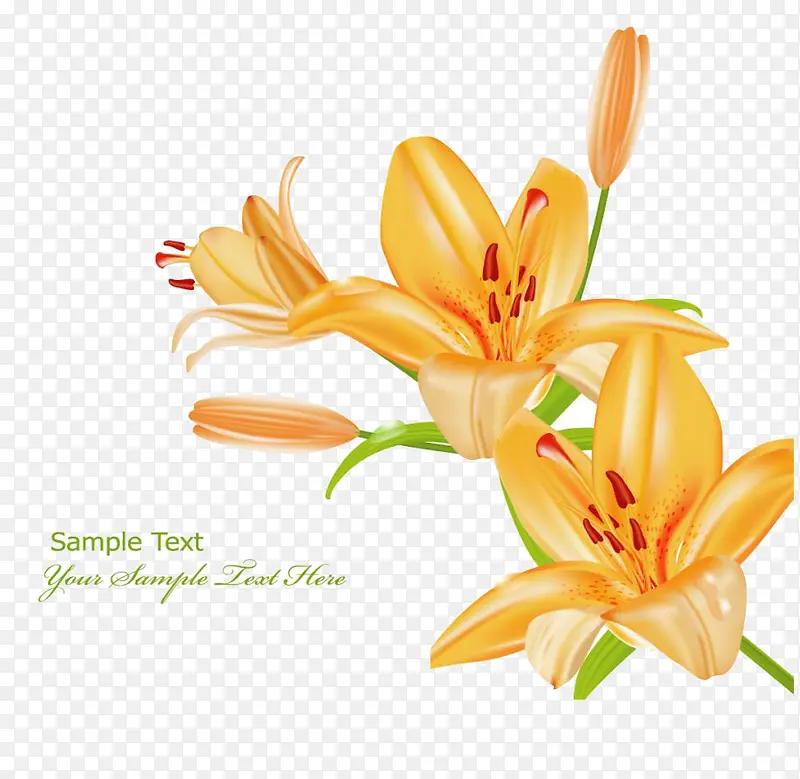 ��ɫ�ٺϻ�-������