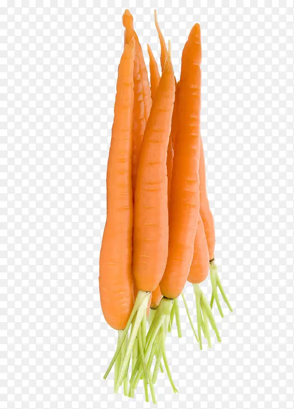 ��ͨ�ֻ��߲�װ�κ�����ƺ��ܲ�-������