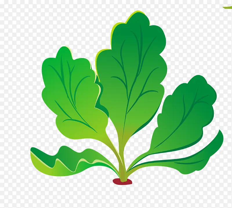 ʸ���ܲ�Ҷ��-������