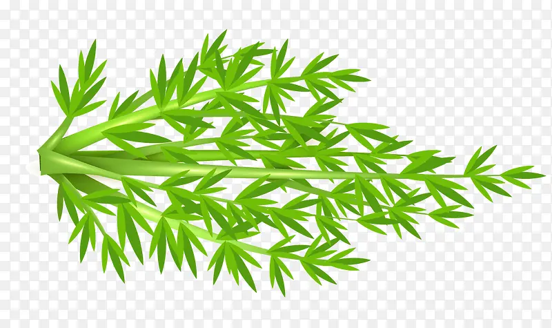 ʸ���ܲ�Ҷ��-������