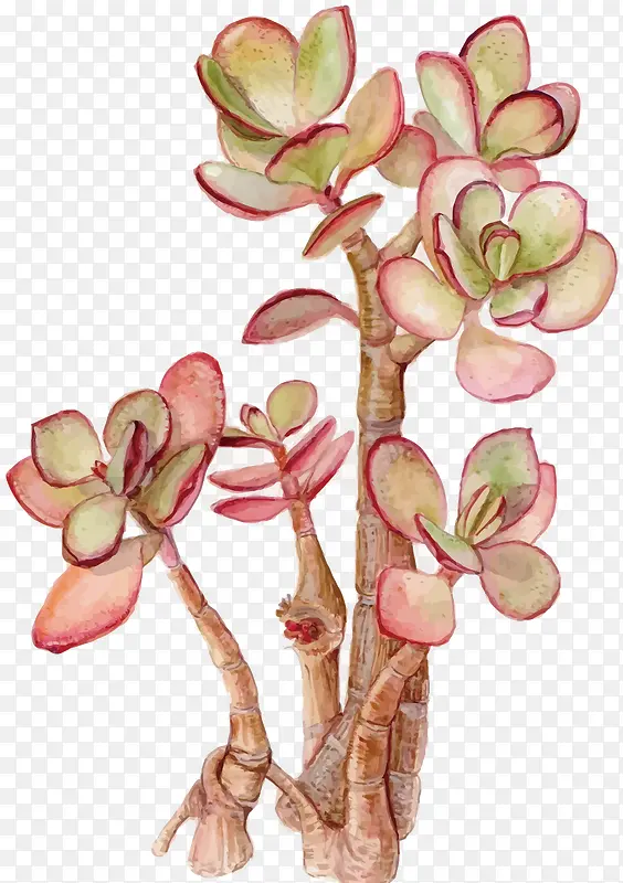 ʸ������ֲ��-������