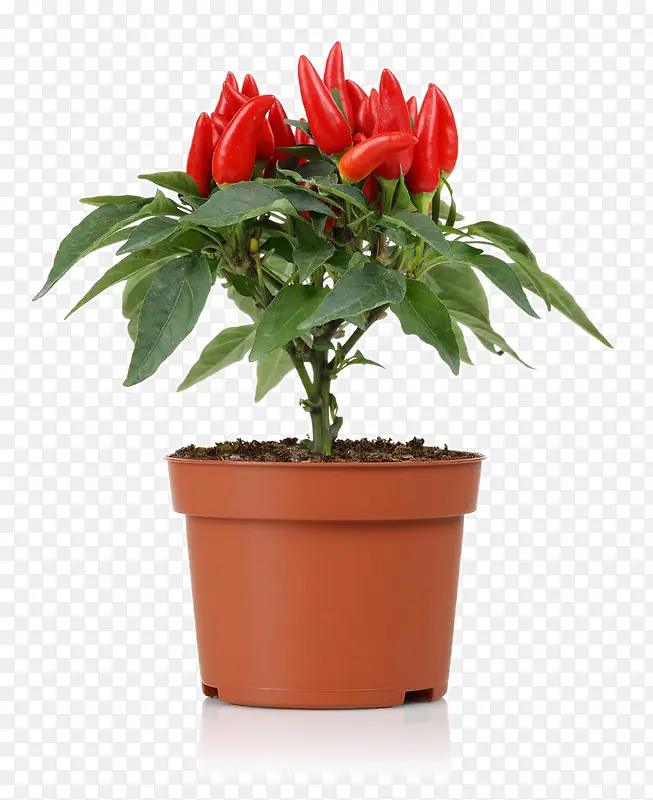 ���ʵĺ�����-������