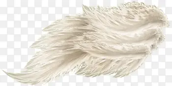 ����pngͼƬ-������