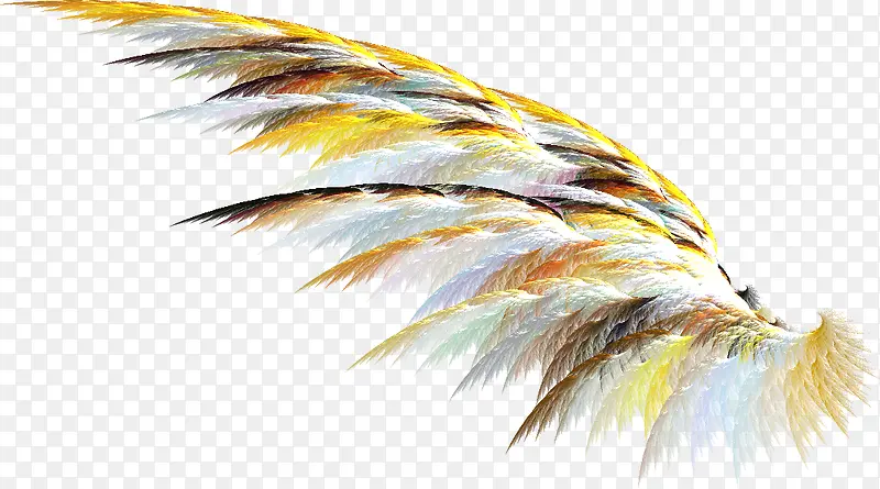 �Ųʳ��-������