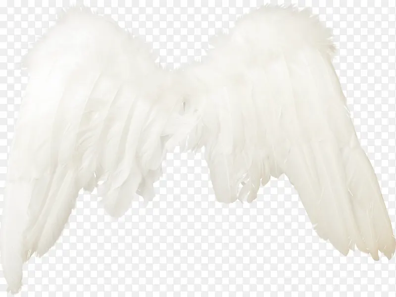 ���-������