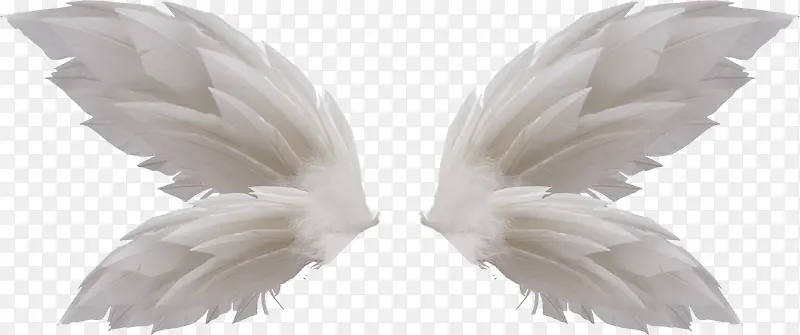 ����-������