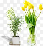 Ư���廭��Ʒ-������