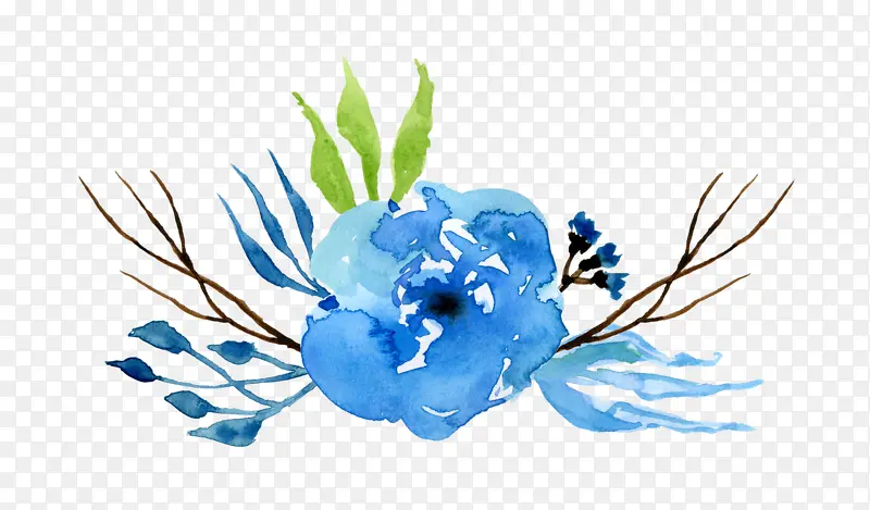 ��ɫˮ���ֻ�-������