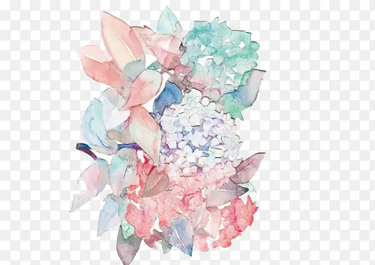 �й����ˮ�ʻ���-������