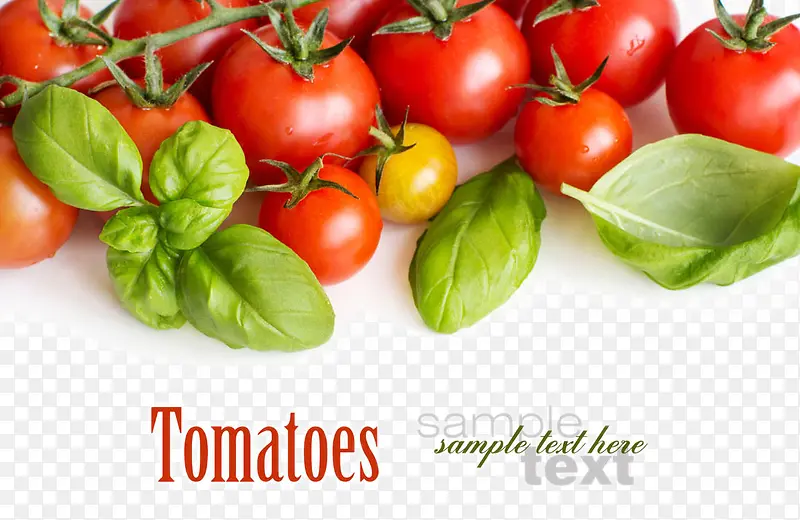 ���ʵ�С����-������