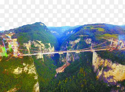 �żҽ��Ͽ�Ȳ�������-������