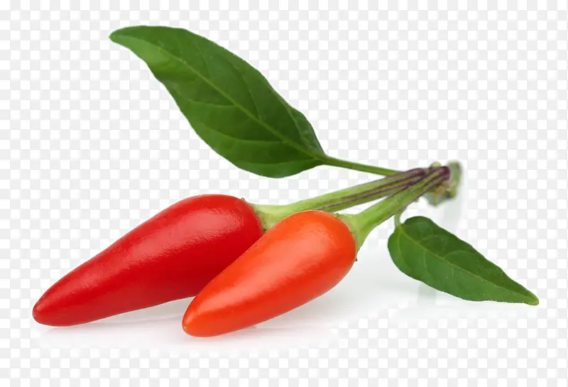 ���ʵĺ�����-������