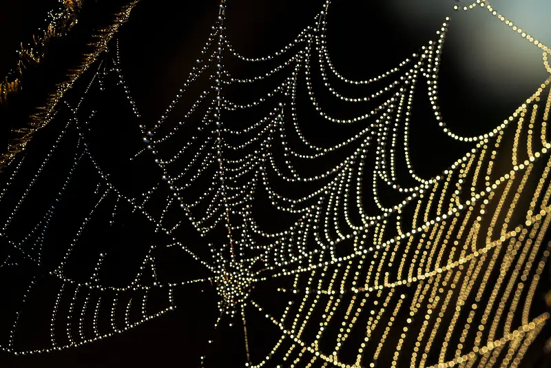 ֩��������-������