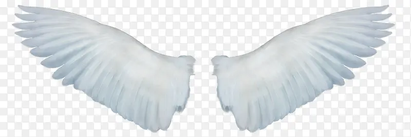 װ������-������