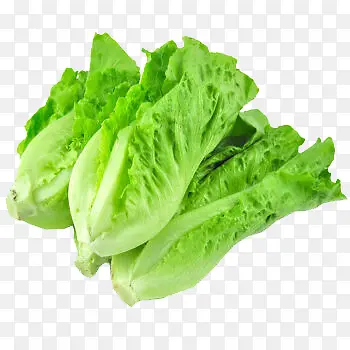 ��������-������