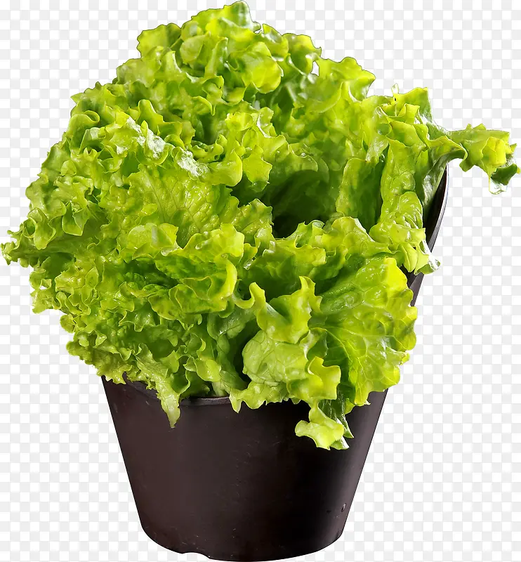 ��������-������